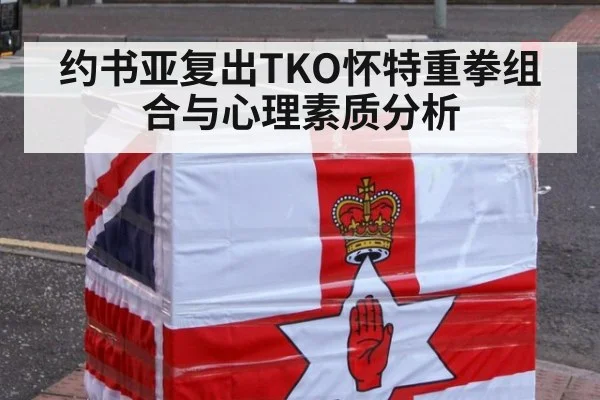 约书亚复出TKO怀特重拳组合与心理素质分析